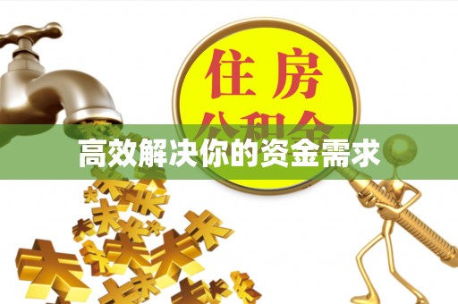 虾峙高效解决你的资金需求