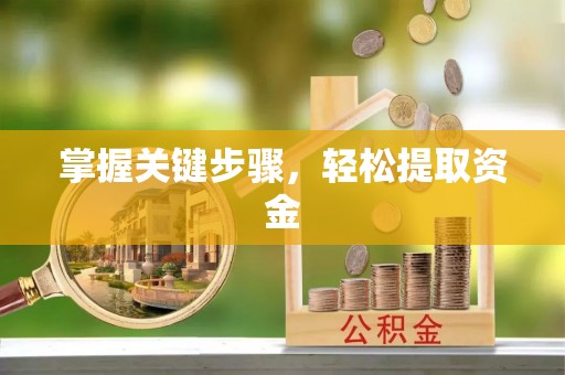 虾峙掌握关键步骤，轻松提取资金