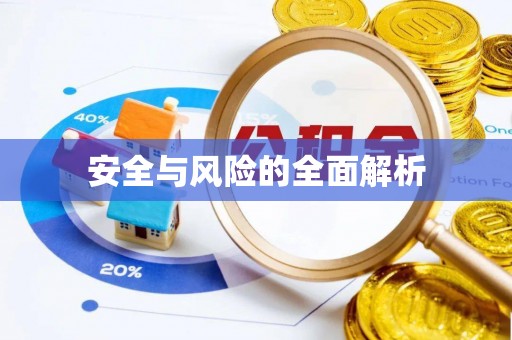 虾峙安全与风险的全面解析