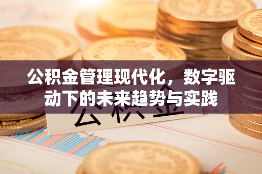 虾峙公积金管理现代化，数字驱动下的未来趋势与实践