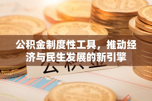 虾峙公积金制度性工具，推动经济与民生发展的新引擎