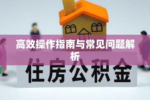 虾峙高效操作指南与常见问题解析
