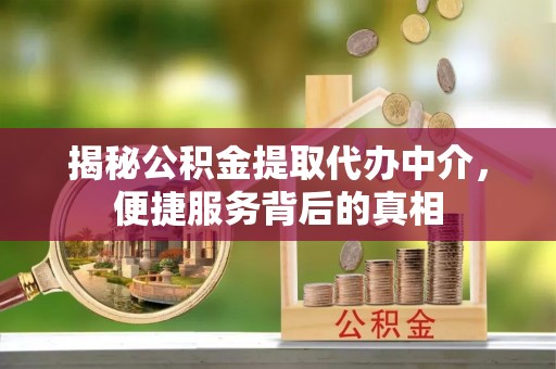 虾峙揭秘公积金提取代办中介，便捷服务背后的真相