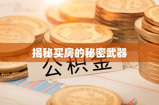虾峙揭秘买房的秘密武器