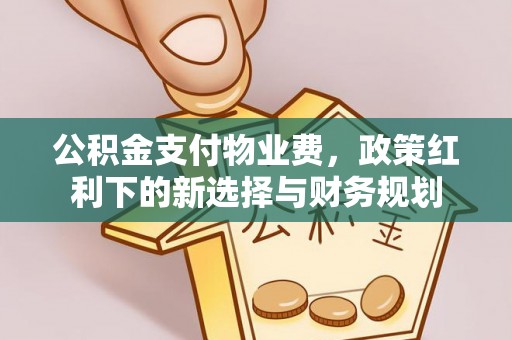 虾峙公积金支付物业费，政策红利下的新选择与财务规划