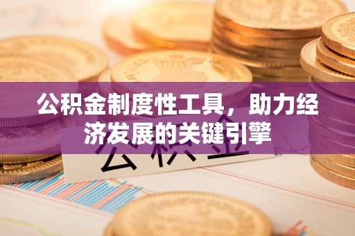 虾峙公积金制度性工具，助力经济发展的关键引擎