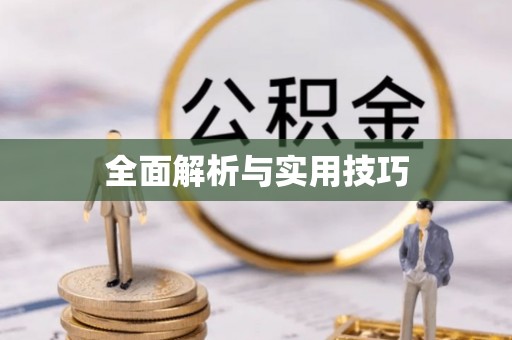 虾峙全面解析与实用技巧