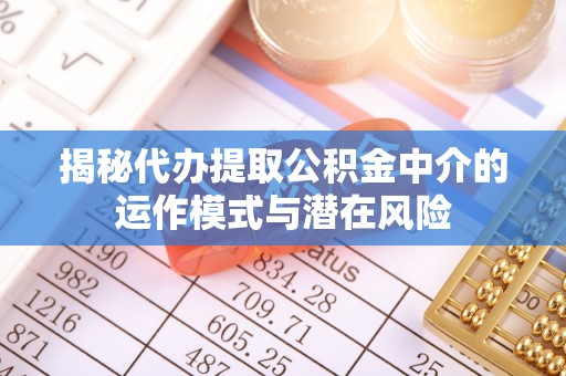 虾峙揭秘代办提取公积金中介的运作模式与潜在风险