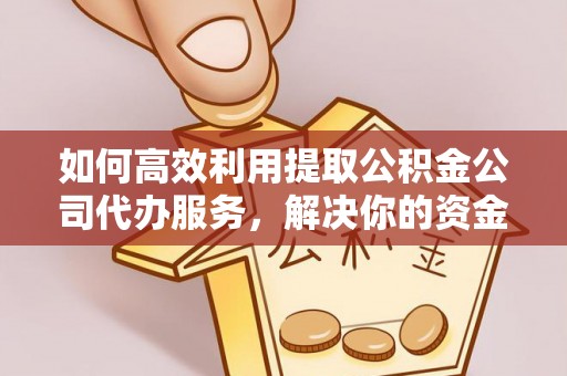 虾峙如何高效利用提取公积金公司代办服务，解决你的资金难题
