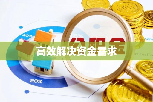 虾峙高效解决资金需求