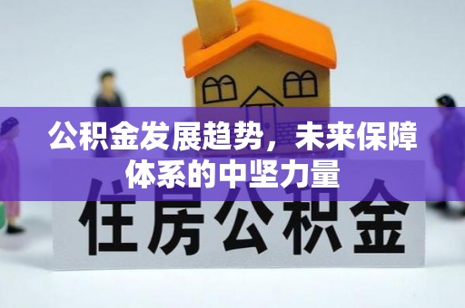 虾峙公积金发展趋势，未来保障体系的中坚力量