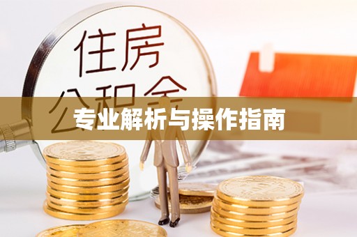 虾峙专业解析与操作指南