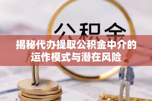 虾峙揭秘代办提取公积金中介的运作模式与潜在风险