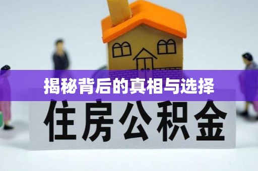 虾峙揭秘背后的真相与选择
