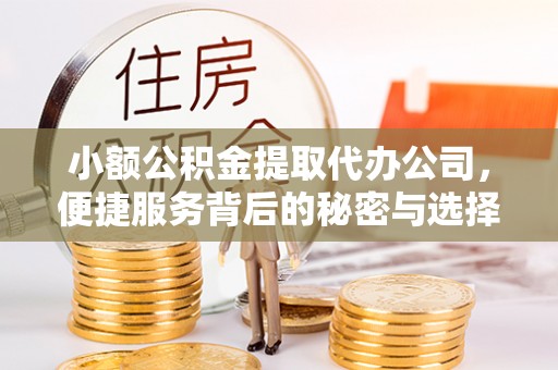 虾峙小额公积金提取代办公司，便捷服务背后的秘密与选择指南