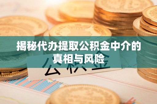 虾峙揭秘代办提取公积金中介的真相与风险