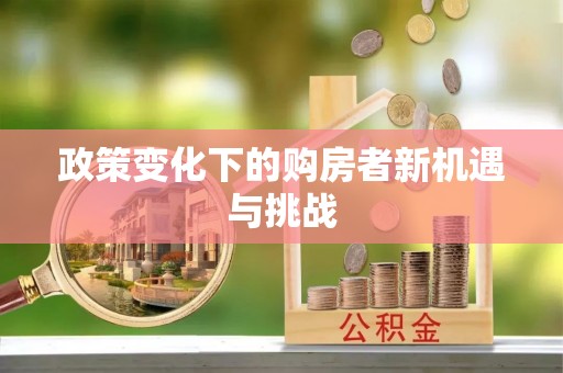 虾峙政策变化下的购房者新机遇与挑战