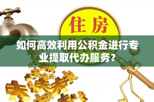 虾峙如何高效利用公积金进行专业提取代办服务？