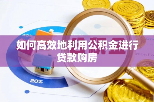 虾峙如何高效地利用公积金进行贷款购房
