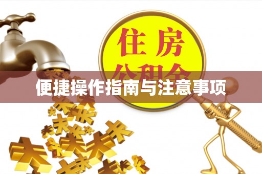 虾峙便捷操作指南与注意事项