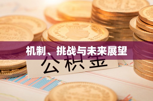 虾峙机制、挑战与未来展望
